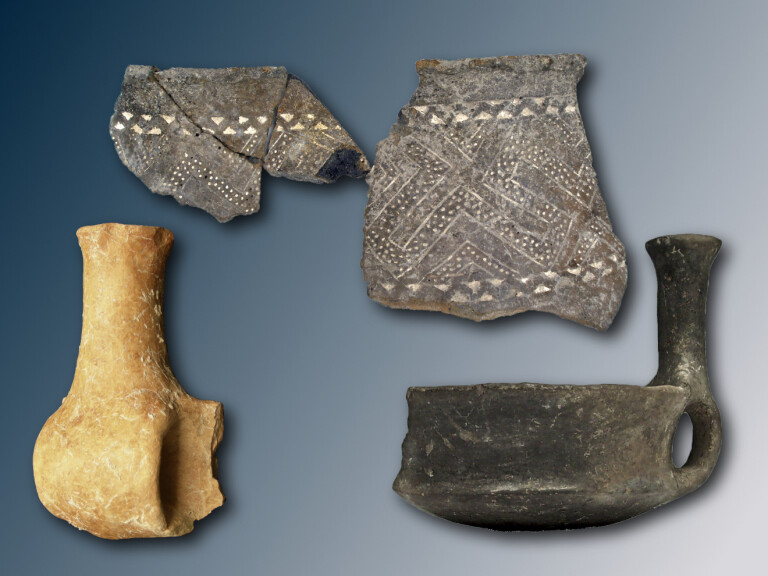 copertina di Archeologia e ambiente: agosto con gli archeologi a Monte Bibele a 60 anni dalla sua scoperta - 9 agosto 2026