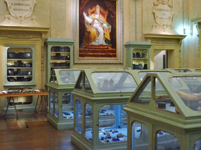 Il Museo Aldrovandi in Palazzo Poggi 