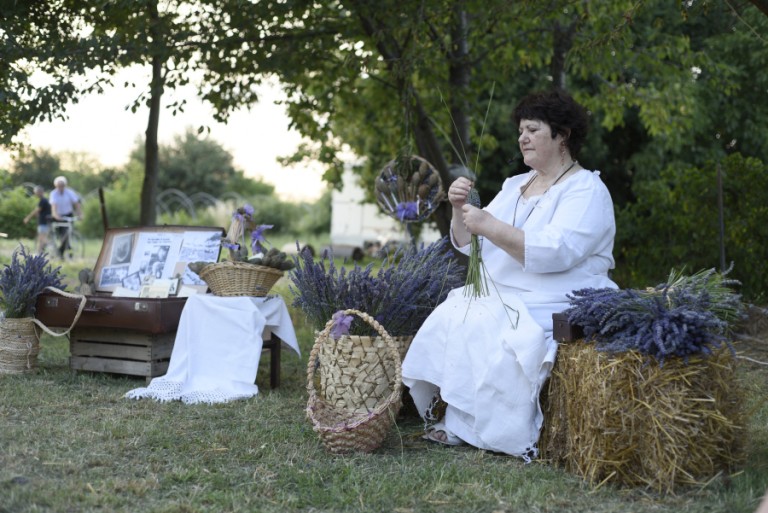 copertina di Fino alla lavanda