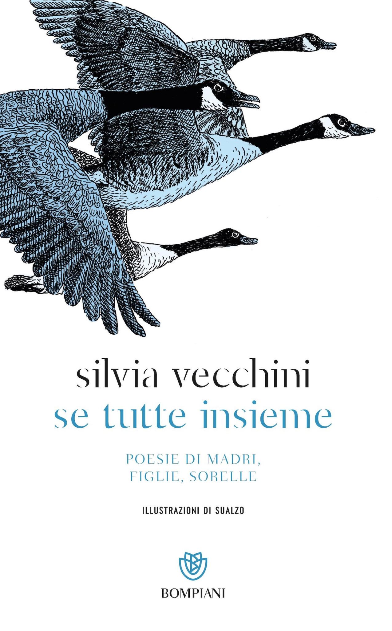 copertina di Se tutte insieme