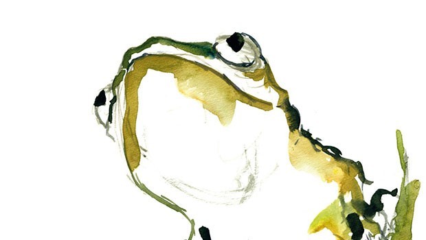 PaoloColagrande_SentiLeRane-tmb-620x350.jpg