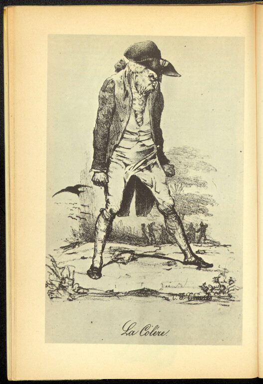 immagine di Collera, insulti...