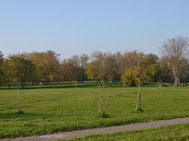 Parco Nicholas Green