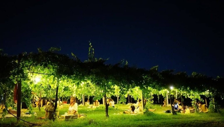 copertina di Romantica cena in campagna nei dintorni di Bologna