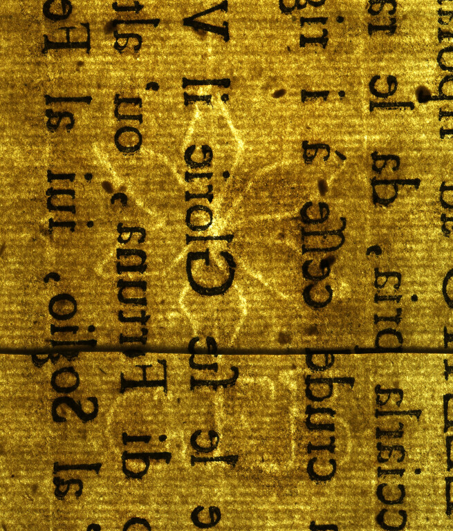 image of ID. 75 fiore a cinque petali, GFB