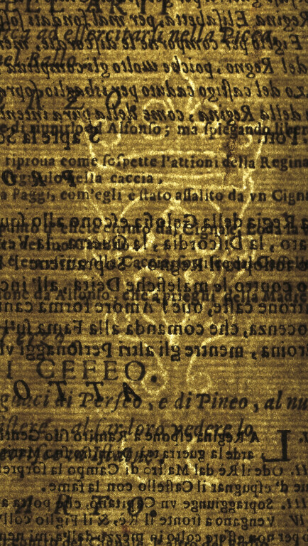 image of ID. 42 stemma Medici, CC