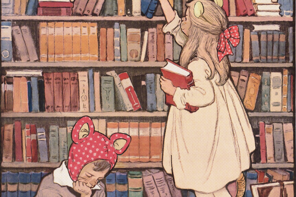 copertina di Young librarians