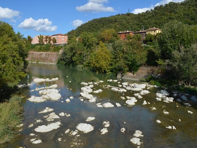 Il fiume Reno 