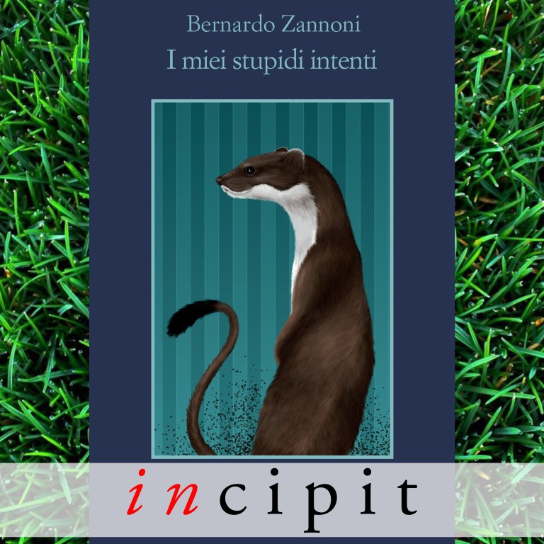 cover of incipit - I miei stupidi intenti 
