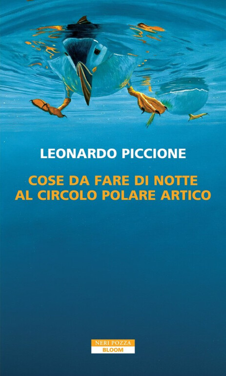 copertina di Cose da fare di notte al circolo polare artico