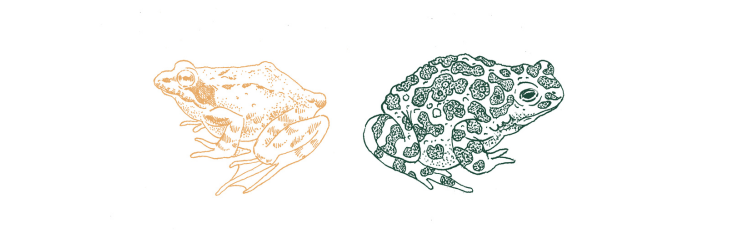 cover of Racconti d'acqua - dai 9 agli 11 anni