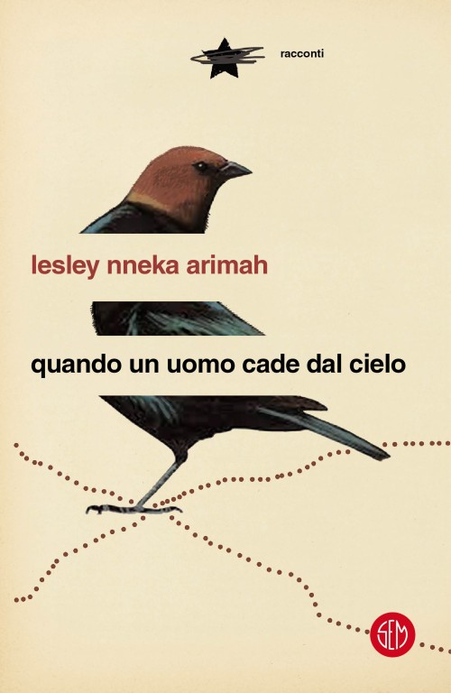 copertina di Quando un uomo cade dal cielo