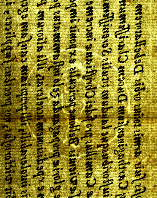 image of ID. 211 leone rampante cerchiato