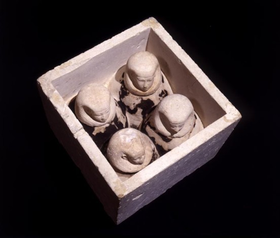 couverture de Nel laboratorio dell’imbalsamatore