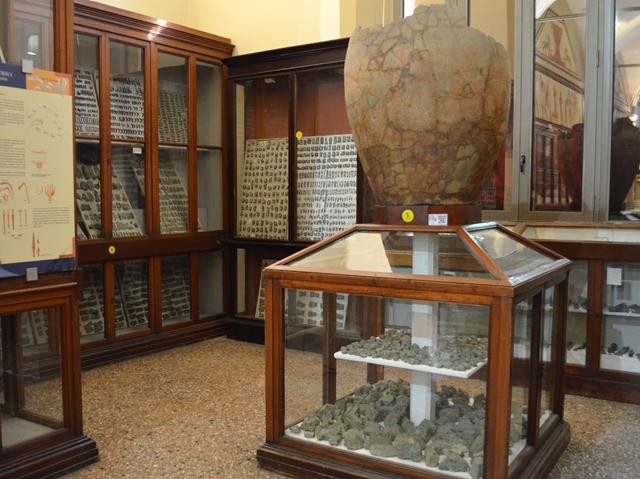 Museo Civico Archeologico (BO)