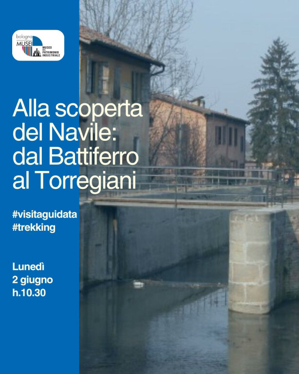 cover of Alla scoperta del Navile: dal Battiferro al Torregiani