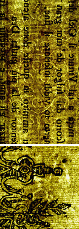 image of ID. 82 stemma Medici