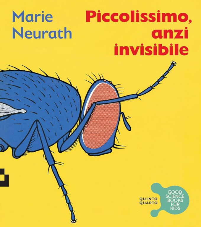 copertina di Piccolissimo, anzi invisibile