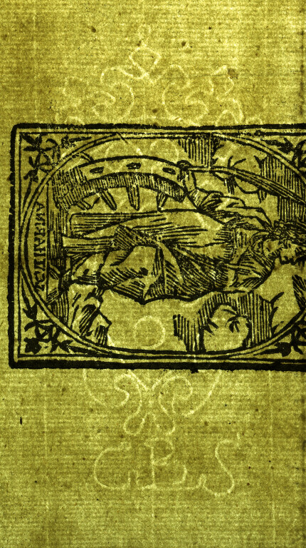 image of ID. 94 stemma Medici, GBS