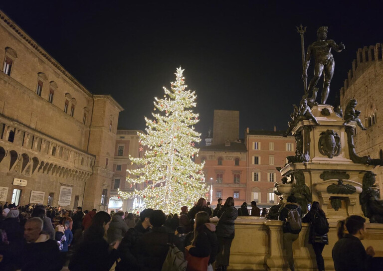 immagine di Festività di fine anno: orari e chiusure delle biblioteche | 2024-25