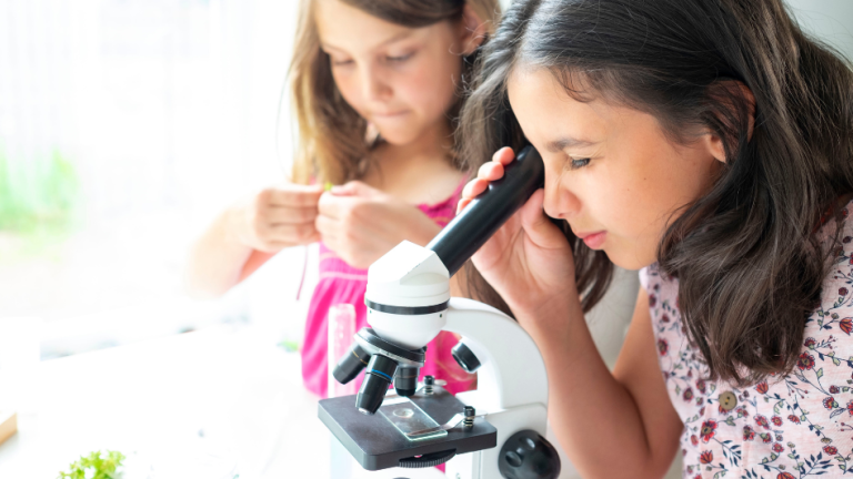 cover of Opus Mundi: viaggi creativi tra arte e scienza