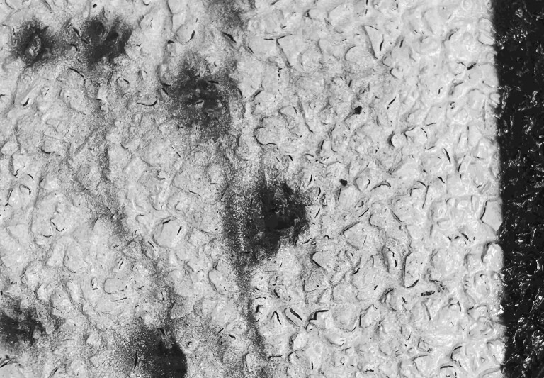 cover of L'anno che verrà