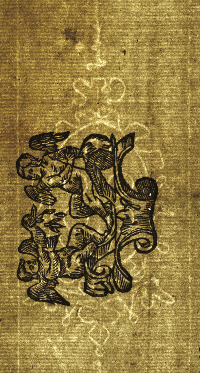 image of ID. 12 stemma Medici, GSF