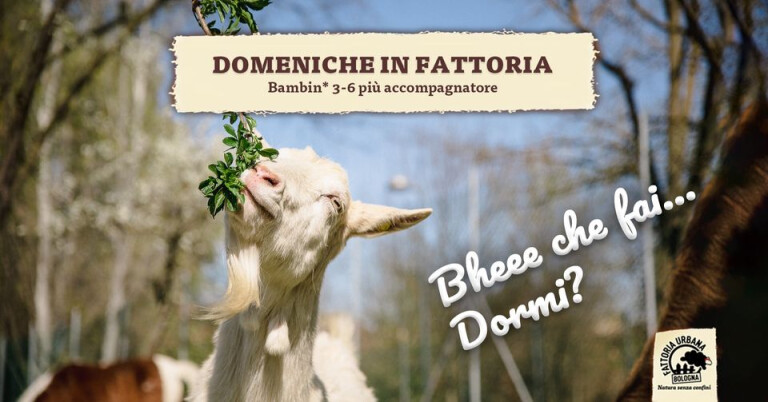 Domeniche in fattoria