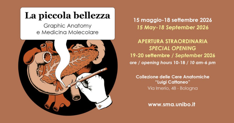 image of La piccola bellezza