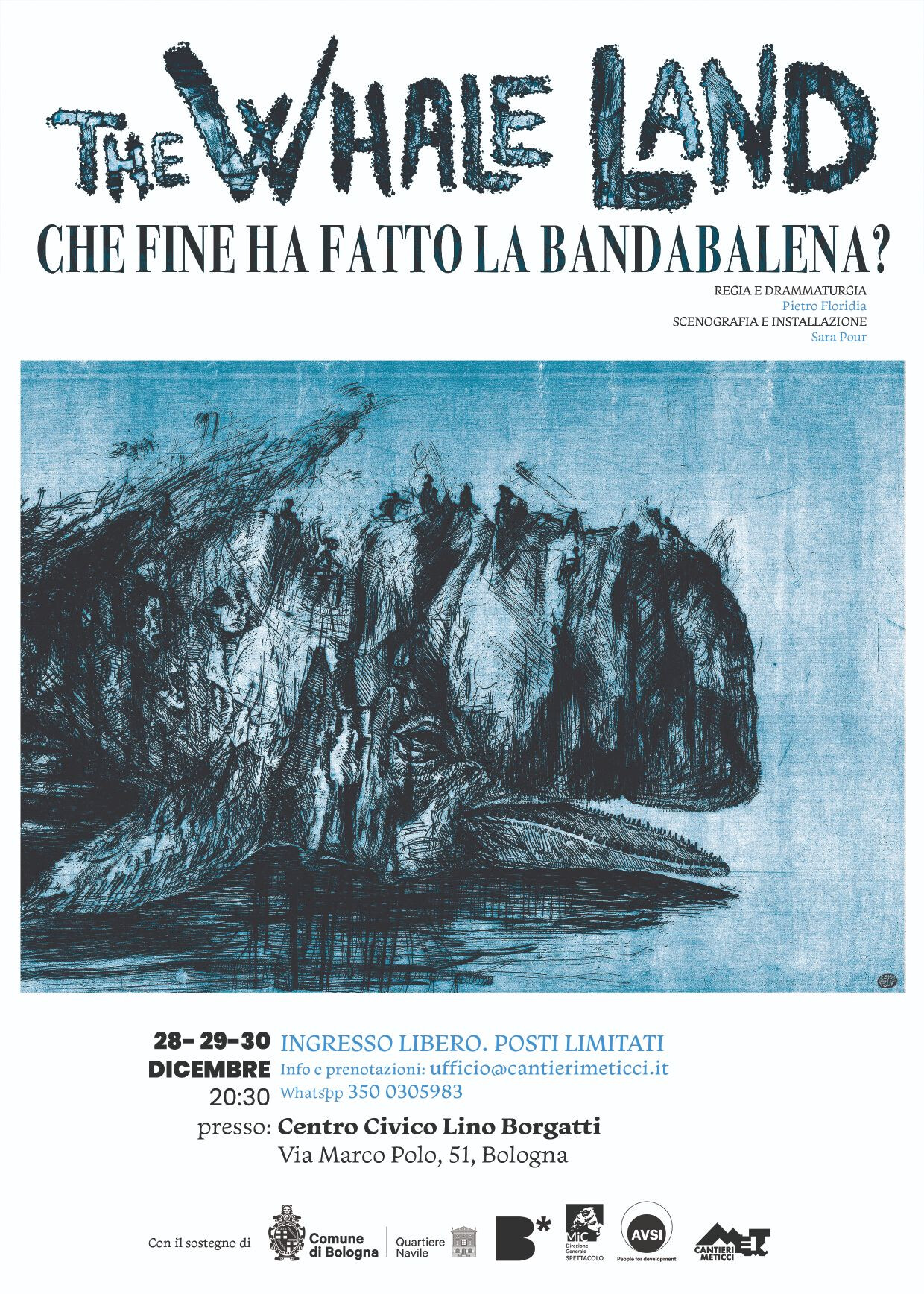 copertina di The Whale Land