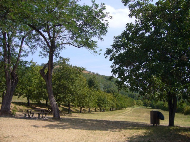 Parco del Paleotto