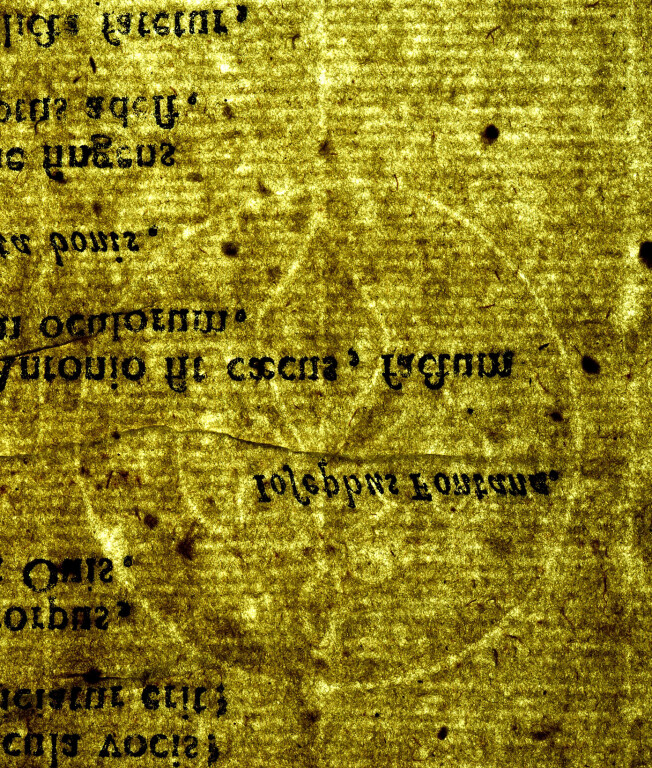 image of ID. 52 giglio cerchiato
