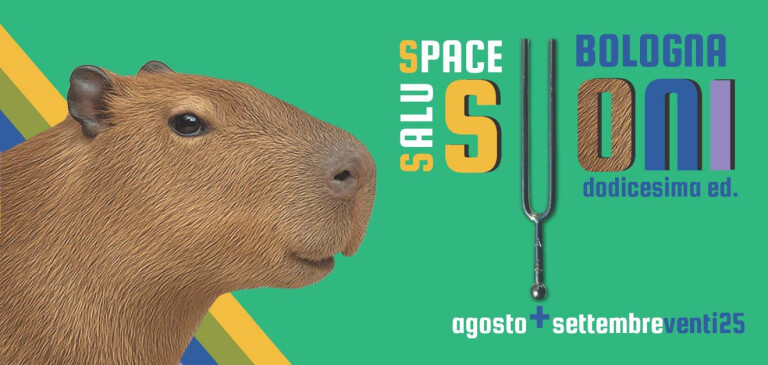 immagine di Festival Suoni