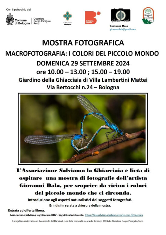 cover of Macrofotografia. I colori del piccolo mondo che ci circonda