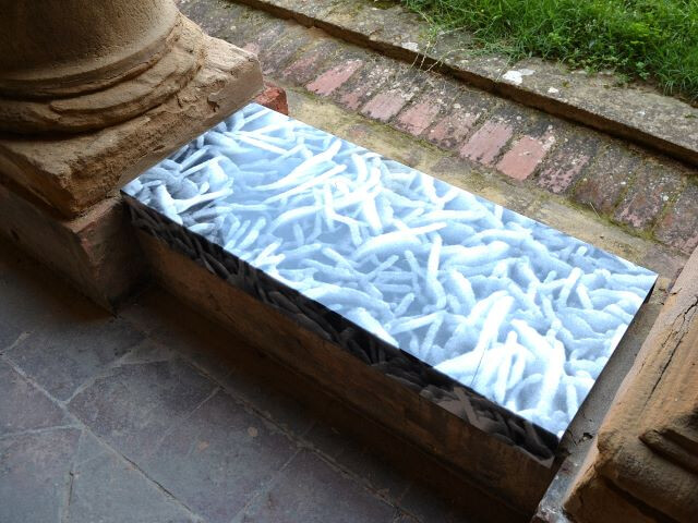 Mostra sui biomateriali