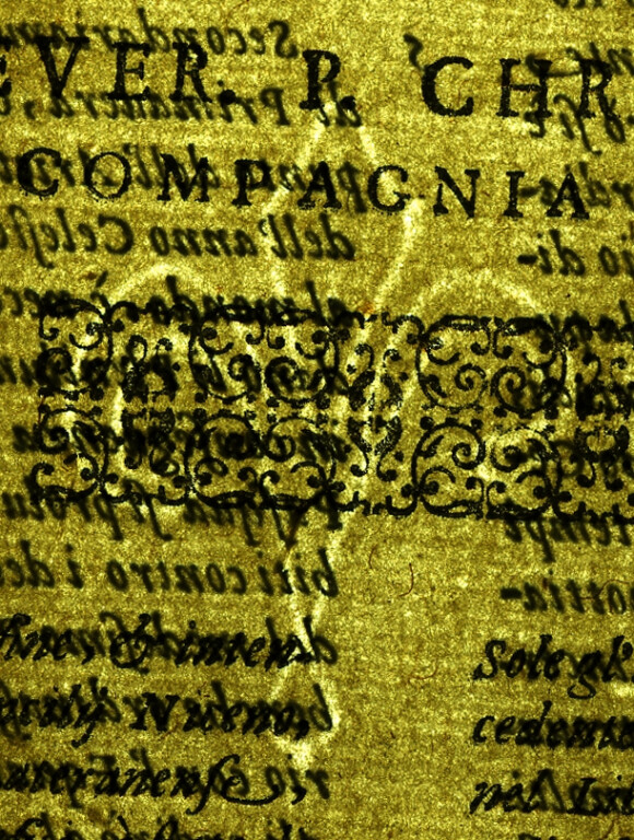 image of ID. 15 giglio