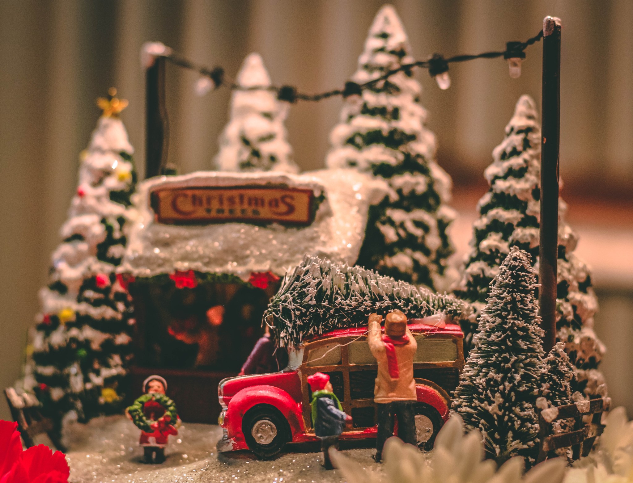 cover of Novità del mese Christmas edition 2021