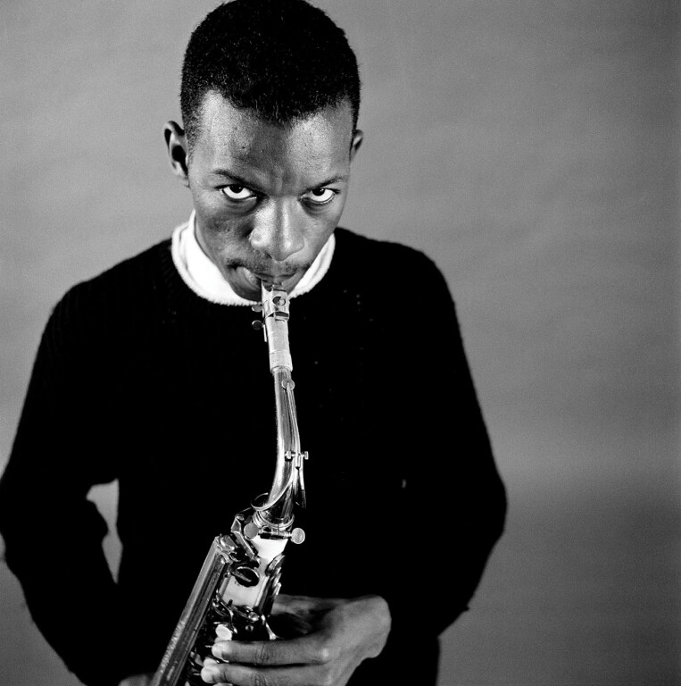 immagine di Beauty is a rare thing