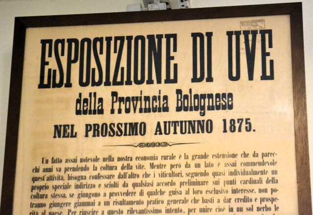 Manifesto per l'Esposizione di Uve della Provincia bolognese