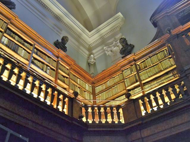 Biblioteca Universitaria - Aula Magna - particolare