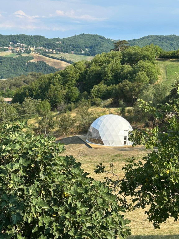 copertina di The Globe Performing Space 
