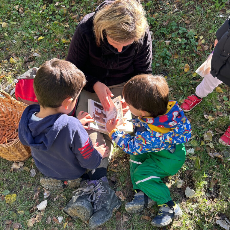 immagine di Storie per tutti