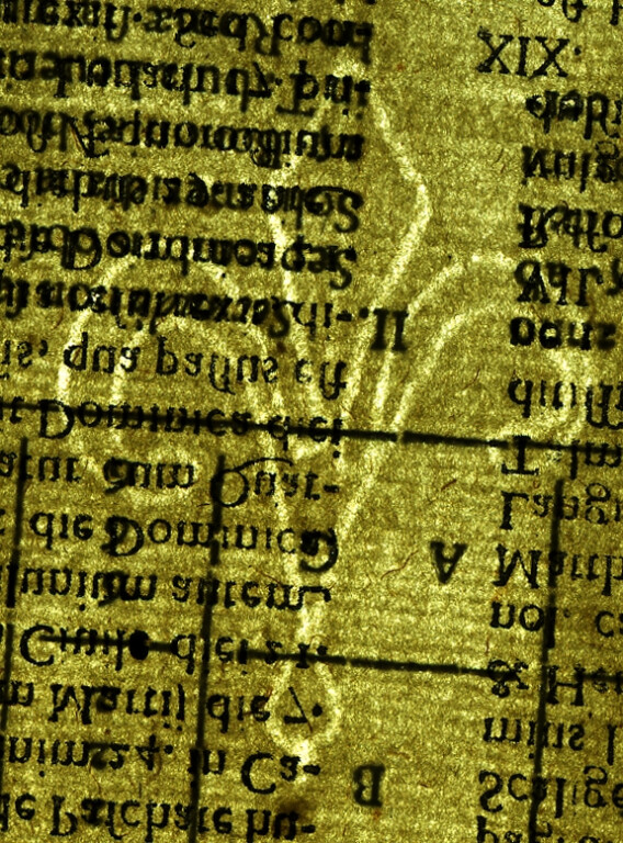 image of ID. 19 giglio