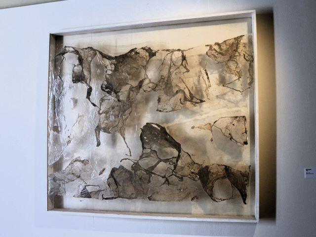 Germano Sartelli. L'incanto della materia