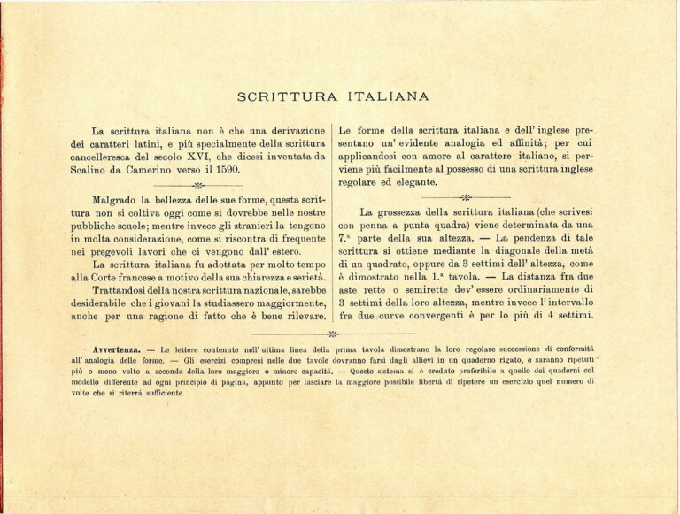immagine di