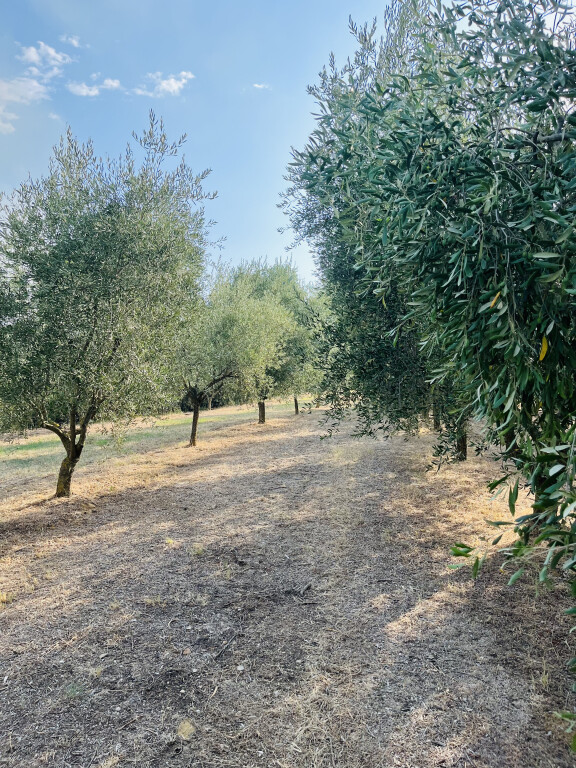 cover of Per campi e per orti - azienda agricola Bonazza 