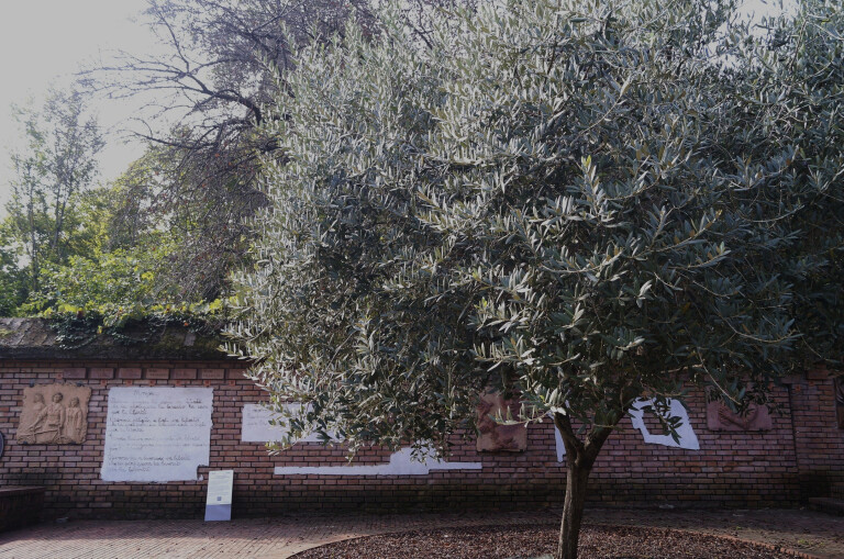 immagine di Donne al centro della storia: da cittadine