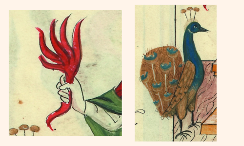 BCABo, ms. A.2848, c. 10r, particolare)