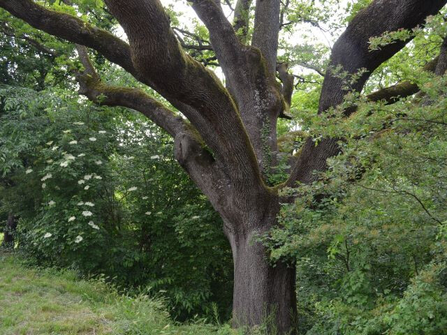 Parco Villa Ghigi (BO)