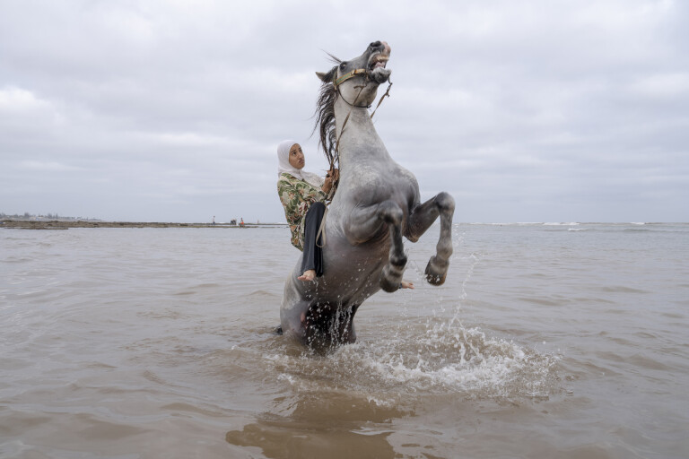 copertina di World Press Photo 2026